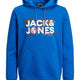 Jack & Jones 12240214-Fw Jcodust Sweat Hood Sn Erkek Sweat Shirt
