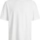 Jack & Jones 12249319 Jjebradley Tee Ss O-Neck Noos Ss Erkek T-Shirt