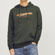Jack & Jones 12256848 Jjalvıs Sweat Hood Erkek Hoodie Sweatshirt