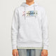Jack & Jones 12262421 Jorportland Block Sweat Hood Ln Erkek Hoodie Sweatshirt