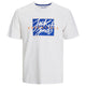 Jack & Jones 12268439 Jjcolton Tee Ss Crew Neck Ln Erkek T-Shirt