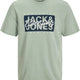 Jack & Jones 12268439 Jjcolton Tee Ss Crew Neck Ln Erkek T-Shirt