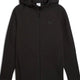 Puma Evostrıpe Core Fz Hoodie Erkek Sweatshirt