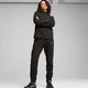 Puma Evostrıpe Sweatpants Kadın Eşofman Alt