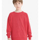 Defacto E8415A8 Erkek Çocuk Sweatshirt