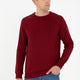 U.S. Polo Assn. G081Sz082-1926848 Erkek Sweatshirt