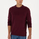 U.S. Polo Assn. G081Sz082-2226878 Regular Erkek Sweatshirt