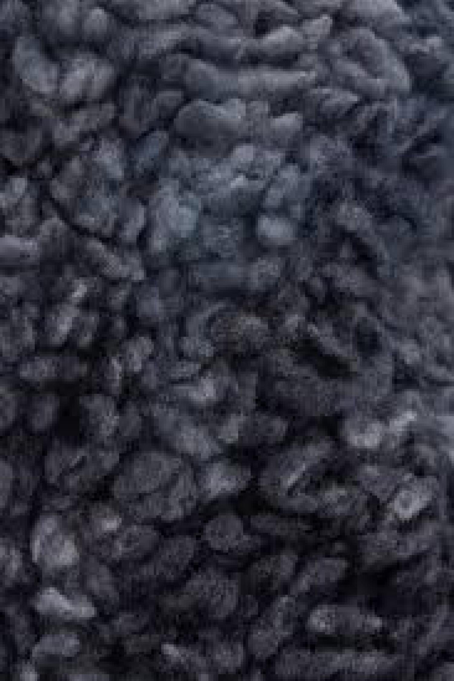 LF2040947_R7792_5.jpg