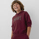 Mavi M6S10143-70394 Mavi Logo Baskılı Kapşonlu Sweatshırt Ko Erkek Çocuk Sweatshirt