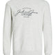 Jack & Jones 12256837 Jjferrıs Sweat Crew Neck Erkek Sweatshirt