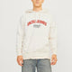 Jack & Jones 12262919 Jorbronx Arch Bıg Sweat Hood Ln Erkek Hoodie Sweatshirt