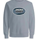 Jack & Jones 12267544 Jcoray Color Sweat Crew Neck Fst Erkek Sweatshirt