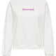Only 15320699 Onldıana L/S Sporty O-Neck Box Ub Swt Kadın Sweatshirt