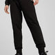 Puma Bmw Mms Ess+ Pants Ft Erkek Eşofman Alt