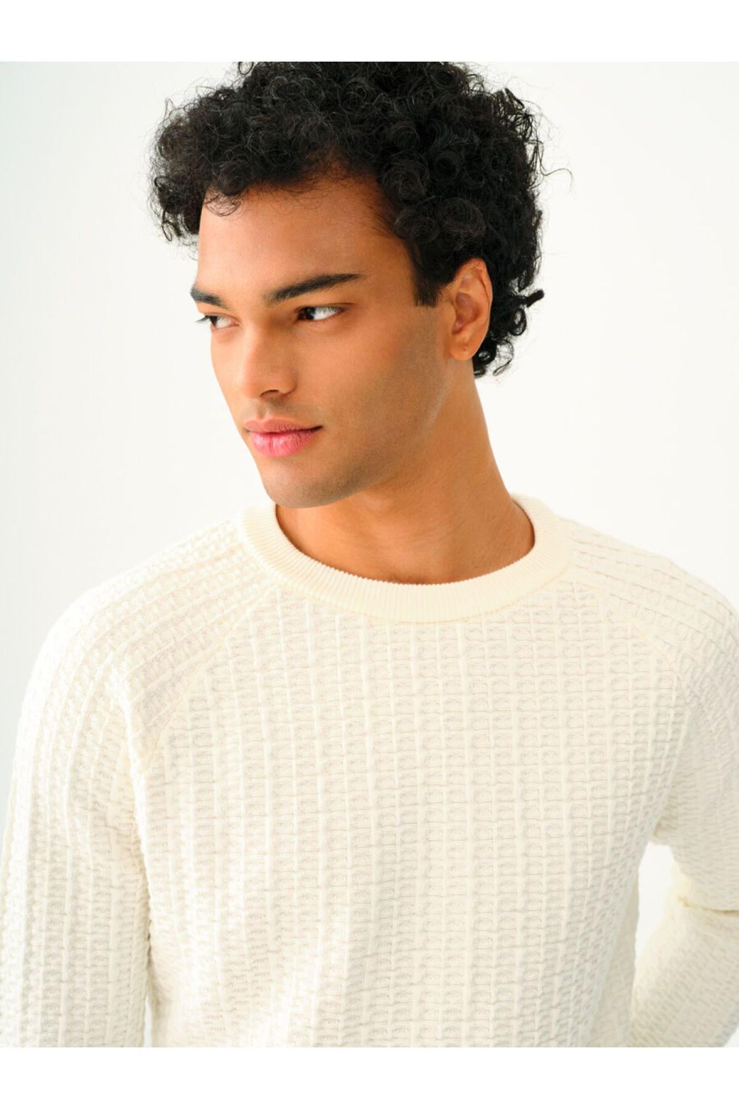 LF2036725_R4478_4.jpg