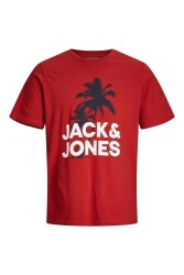 Jack & Jones 12238850-23Y Jcowavy Tee Ss Crew Neck Fst Erkek T-Shirt Renkli 