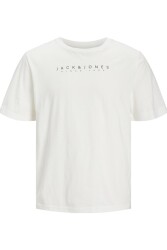 Jack & Jones 12247985 Jjsetra Tee Ss Crew Neck Ss Erkek T-Shirt Beyaz 