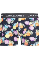 Jack & Jones 12253570 Jaclouıs Trunk Sn Ss Erkek Boxer Renkli 